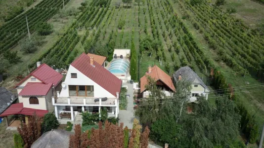 სახლი იყიდება 99128 Vinica SK