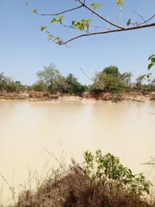 სამშენებლო მიწა იყიდება 0000 Brikama Gambia  DE