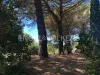 ვილა იყიდება - 01010 Marta (Vt) IT Thumbnail 5