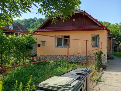 ფერმა იყიდება 407124 Vaida-Camaras RO